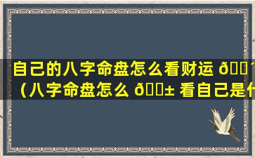 自己的八字命盘怎么看财运 🐴 （八字命盘怎么 🐱 看自己是什么命）